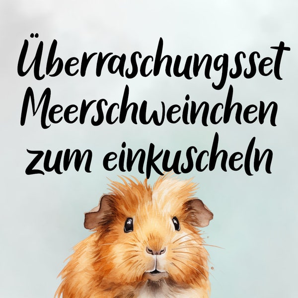 Überraschungsset Meerschweinchen zum einkuscheln