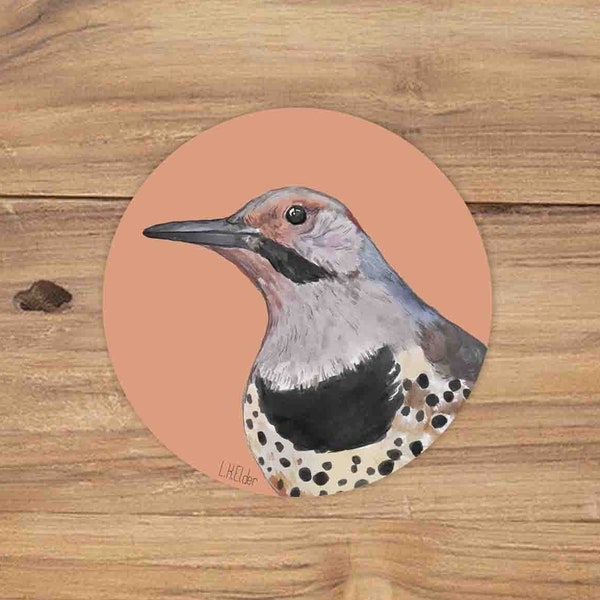 Norther flicker Sticker, Woodpecker Sticker, Birds Stickers, Wildlife Sticker, Northern Flicker illustration, Northern flicker vinyl