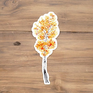 Aspen tree sticker, Quaking Aspen Sticker, Fall tree sticker, Aspen tree watercolor, Colorado sticker, Utah Sticker, Aspen tree illustration