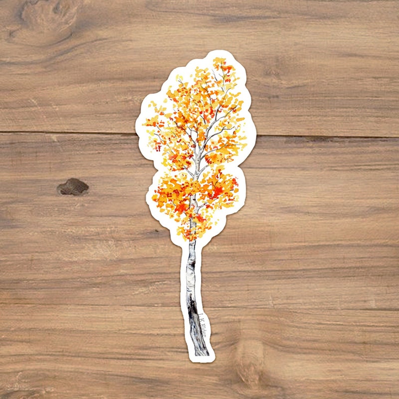 Aspen Decal - Etsy