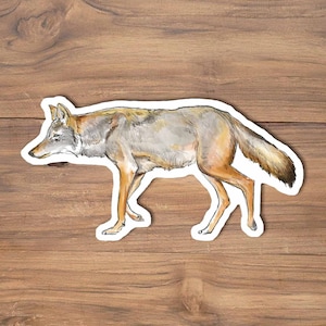 Digitally Painted Coyote Sticker: New Mexico Wildlife Decal