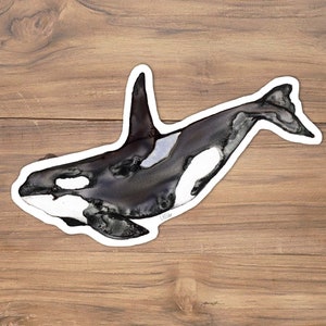 Watercolor Orca Whale Vinyl Sticker: Glossy or Matte