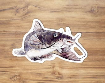 Pegatina de bagre de canal con acuarela: vinilo brillante para pesca
