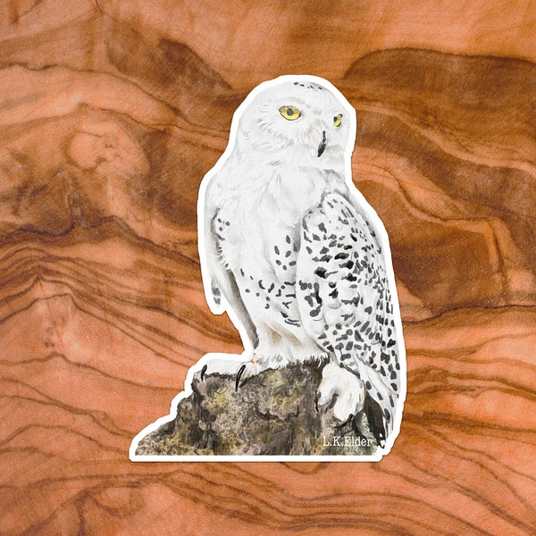 Snowy owl sticker, realistic owl sticker, owl vinyl sticker, snowy owl vinyl, bird stickers, bird watcher gift, bird lover gift, white owl