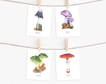 Aquarell Pilz Grußkarten Set: Pilze Grußkarten