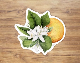 Vinylsticker oranjebloesem aquarel - illustratie Florida