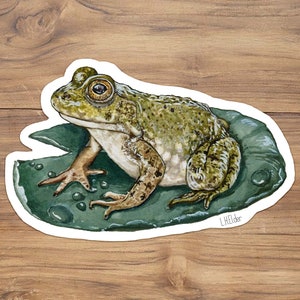 American Bullfrog Vinyl Sticker, Bullfrog sticker Frog lily pad sticker Watercolor Frog Illustration Frog Sticker Bull frog sticker frog art