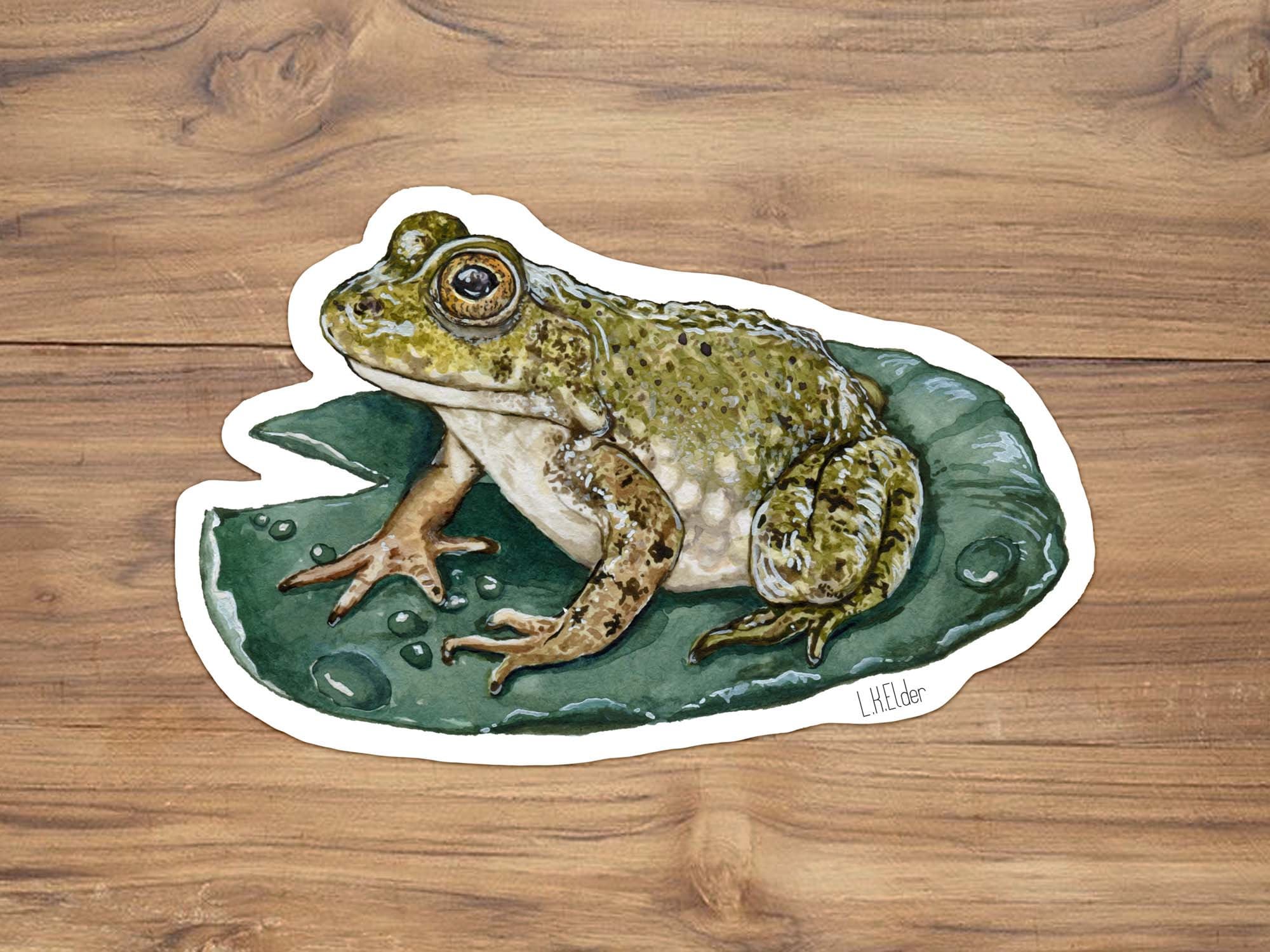 Watercolor Bullfrog Vinyl Sticker: Frog on Lily Pad Art - Etsy