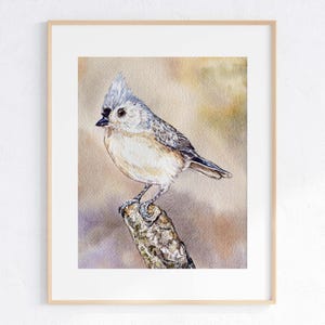 Tufted Titmouse Watercolor Art Print: Bird Illustration