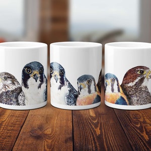 Peregrine Falcon Mug, American Kestrel Mug, Falcon Mug, Gift for bird lover,  Peregrine Illustration,Nature Mug Bird mug, Custom Mug