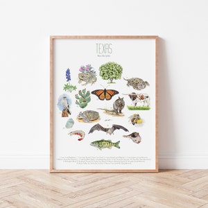 May include: A watercolor illustration of 20 different animals and plants found in Texas. The illustration is in a circle with the word "TEXAS" at the top and "Native Flora & Fauna" below. The animals and plants include a bluebonnet, a toad, a tree, a horned lizard, a cactus, a monarch butterfly, a kangaroo rat, a longhorn steer, a turtle, a lizard, a bee, a shrimp, a bat, a bass, a seashell, a blue jay, a Texas diamond, a Texas star, and a Texas flag.