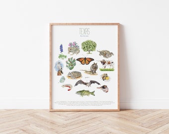 Texas State Symbols Art Print: Flora & Fauna Typology