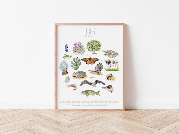 Texas State Symbols Art Print Texas State Symbols Typology - Etsy
