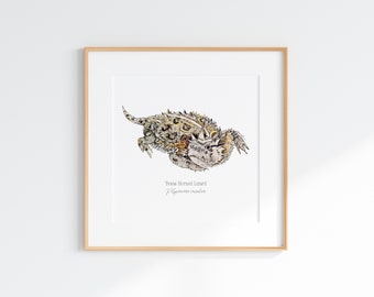 Texas Horned Lizard Giclee Print, Horny toad Illustration, Texas Horned Lizard Print, Horny Toad Print, Horny Toad Art, Horned Lizard print