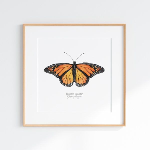 Monarch butterfly Giclee Print, Monarch butterfly illustration, Monarch butterfly watercolor, Monarch butterfly art, Orange butterfly,