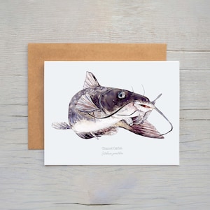 Kanal Wels Grußkarte, Wildtier Karte, Wels Karte, Karte zum Fischen, Karte zum Fischen, Karte zum Fischen, Karte zum Fischen, Karte zum Fischen