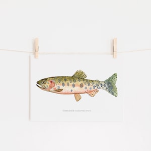 Puede incluir: Una pintura de acuarela de una trucha garganta cortada de espalda verde. El pez se representa de perfil, con la cabeza mirando hacia la izquierda. El pez es de color marrón claro con manchas marrones oscuras. El pez nada en un agua clara y azul.