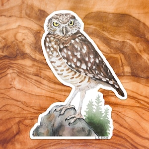 burrowing owl sticker, owl sticker, burrow owl sticker, bird sticker, cute owl sticker, owl illustration, bird watcher gift, bird lover gift