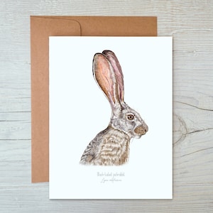 Watercolor Jackrabbit Card: Desert Southwest Blank Notecard