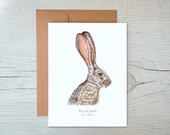 Jackrabbit card, Blank Jackrabbit Card, Jackrabbit Notecards, desert stationary, southwest gift, Jackrabbit gifts, Jackrabbit stationary