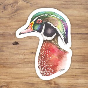 Watercolor Wood Duck Vinyl Sticker: Wildlife Art