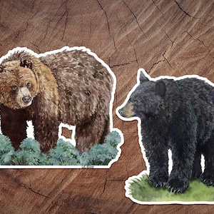 Bear Stickers , Black Bear Sticker, Grizzly Bear Sticker, Grizzly sticker, bear sticker, Montana Sticker, California Sticker Bear watercolor