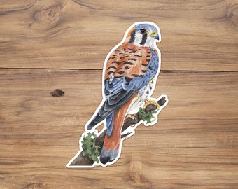 American Kestrel Sticker, Falcon Sticker, Bird Stickers, Kestrel Sticker, Hawk Sticker, Watercolor Birds,