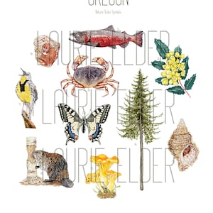 May include: An illustration of the official state symbols of Oregon. The symbols include a Chinook Salmon, Oregon Grape, Oregon Triton, Coast Douglas Fir, Golden Chanterelle, North American Beaver, Western Meadowlark, Oregon Sunstone, Dungeness Crab, and Oregon Swallowtail.