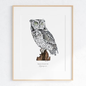 Eastern Screech Owl Giclee Print, Eastern Screech Owl print, Watercolor Owl print, Eastern Screech Owl illustration, Eastern Screech Owl Art image 1