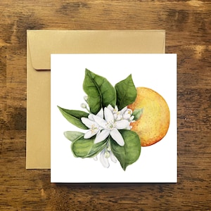 Carte de voeux fleur d'oranger, carte de voeux fleur d'oranger, carte de voeux de Floride, carte de voeux fleur d'oranger, carte de voeux florale, carte de Floride