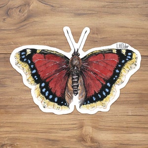 Mourning Cloak Butterfly Vinyl Sticker: Watercolor Illustration