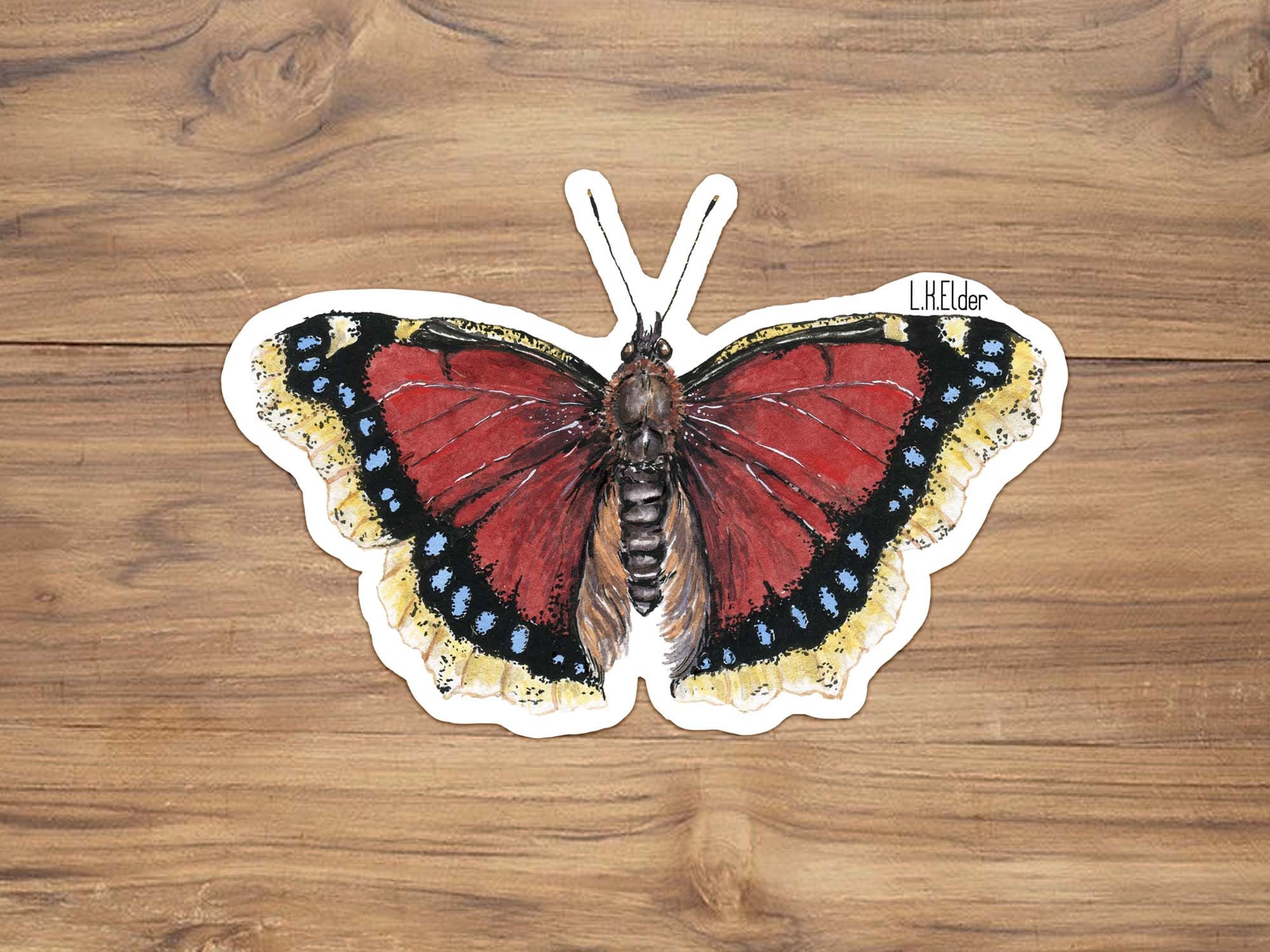 Mourning Cloak Butterfly Vinyl Sticker: Watercolor Illustration - Etsy