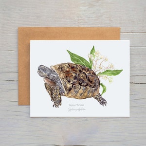 Cartão de felicitações de tartaruga de Gopher, notecards em branco da vida selvagem, cartões de tartaruga de Gopher, cartão de felicitações da Flórida, papel de carta de tartaruga de Gopher