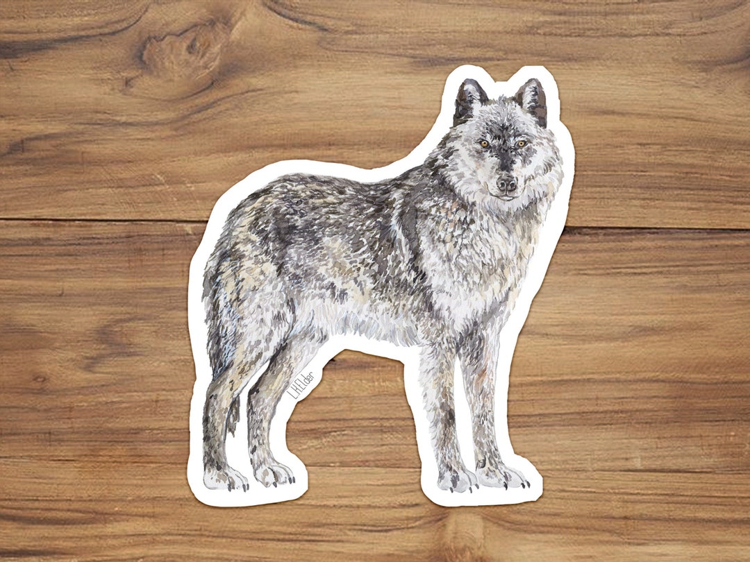 Gray Wolf Sticker, Wolf Vinyl Sticker, Watercolor Wolf Illustration