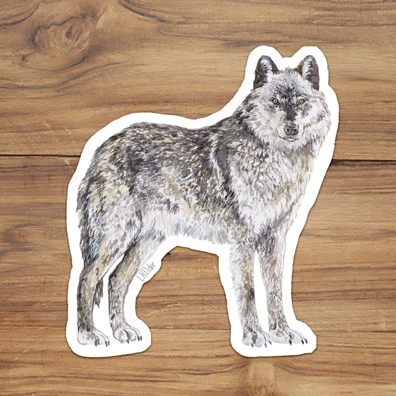 Gray Wolf Art - Etsy
