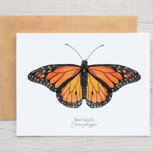 Watercolor Monarch butterfly Greeting Card, blank butterfly Monarch notecards, blank monarch Greeting Card, Wildlife notecards