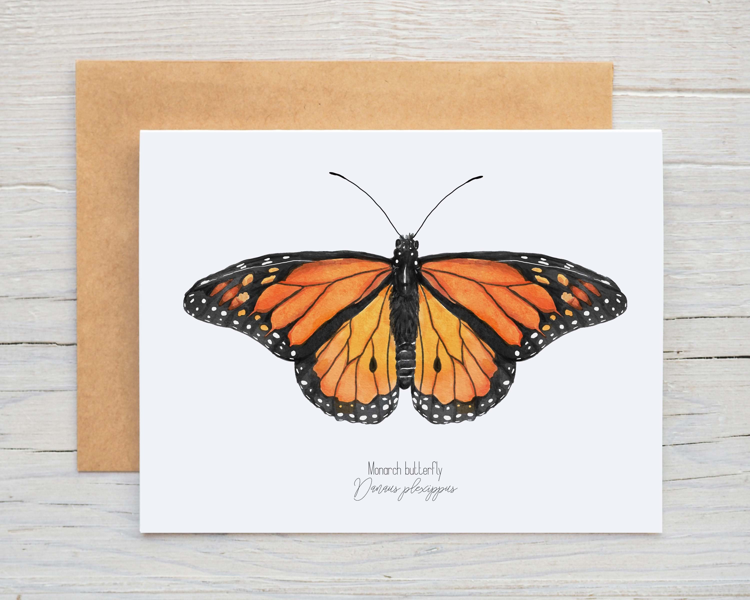 Watercolor Monarch Butterfly Greeting Card: Blank Wildlife Notecard - Etsy