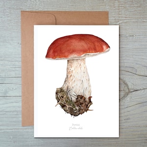 Porcini Notecard, Porcini-wenskaart, wenskaart paddestoel, wenskaart mycologie, stationaire paddestoel, botanische kaart, eekhoorntjesbroodkunst