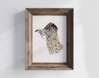 Watercolor Roadrunner Giclee Print: Roadrunner Illustration Typology