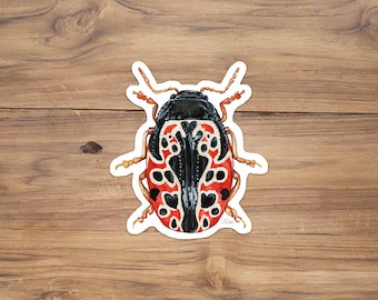 Calligrapha Beetle Vinyl Sticker: Watercolor Insect Art