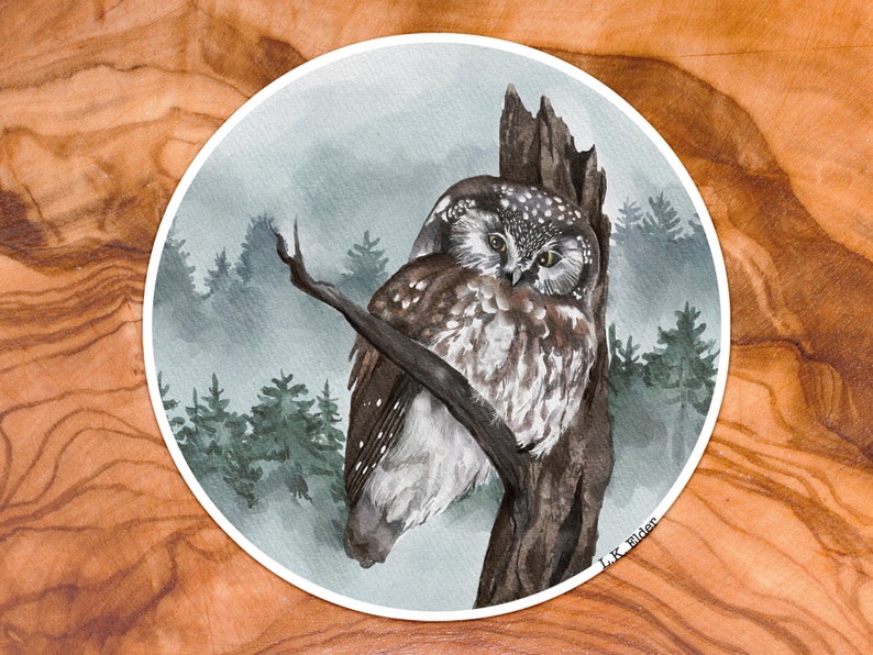 May include: A watercolour painting of a small owl perched on a tree branch in a misty forest. The owl has brown and white feathers and large, dark eyes. The background is a soft blue-grey with hints of green.