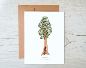 Sequoia Greeting Card, Blank Botanical Card, Tree Note cards, California Greeting Card, Tree Greeting Card, Sequoia Illustration, Tree Card