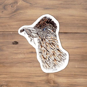 Peut inclure: Un autocollant représentant une illustration détaillée d'un coureur des routes avec un lézard dans son bec. Le coureur des routes est représenté avec un plumage à motifs brun et blanc, un œil bleu et une crête noire. Le lézard est brun et vert avec une longue queue.