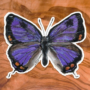 Colorado Hairstreak Schmetterling Aufkleber: Aquarell Stil Vinyl Aufkleber