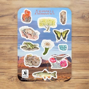 May include: A sheet of stickers featuring illustrations of Arizona wildlife and plants. The stickers include a Gila monster, a cactus wren, a desert tortoise, a scorpion, a saguaro cactus, a tarantula, a Gila monster, a cholla cactus, a roadrunner, a rattlesnake, a javelina, and a Saguaro cactus blossom. The stickers are printed on white paper with a blue background. The text "ARIZONA" is printed in red at the top of the sheet.