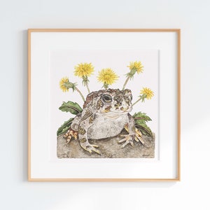 Great Plains Toad Giclee Print, Toad Illustration, Toad drawing, Herpetology Print, Scientific Illustration, Toad and dandelion