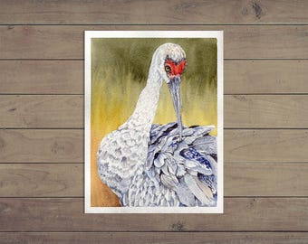 Original Watercolor Sandhill Crane Painting: Wildlife Illustration