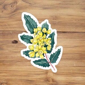 Oregon Grape Watercolor Illustration Vinyl Sticker