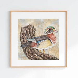 Watercolor Wood Duck Giclee Print: Bird Illustration Art