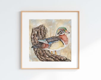 Watercolor Wood Duck Giclee Print: Bird Illustration Art